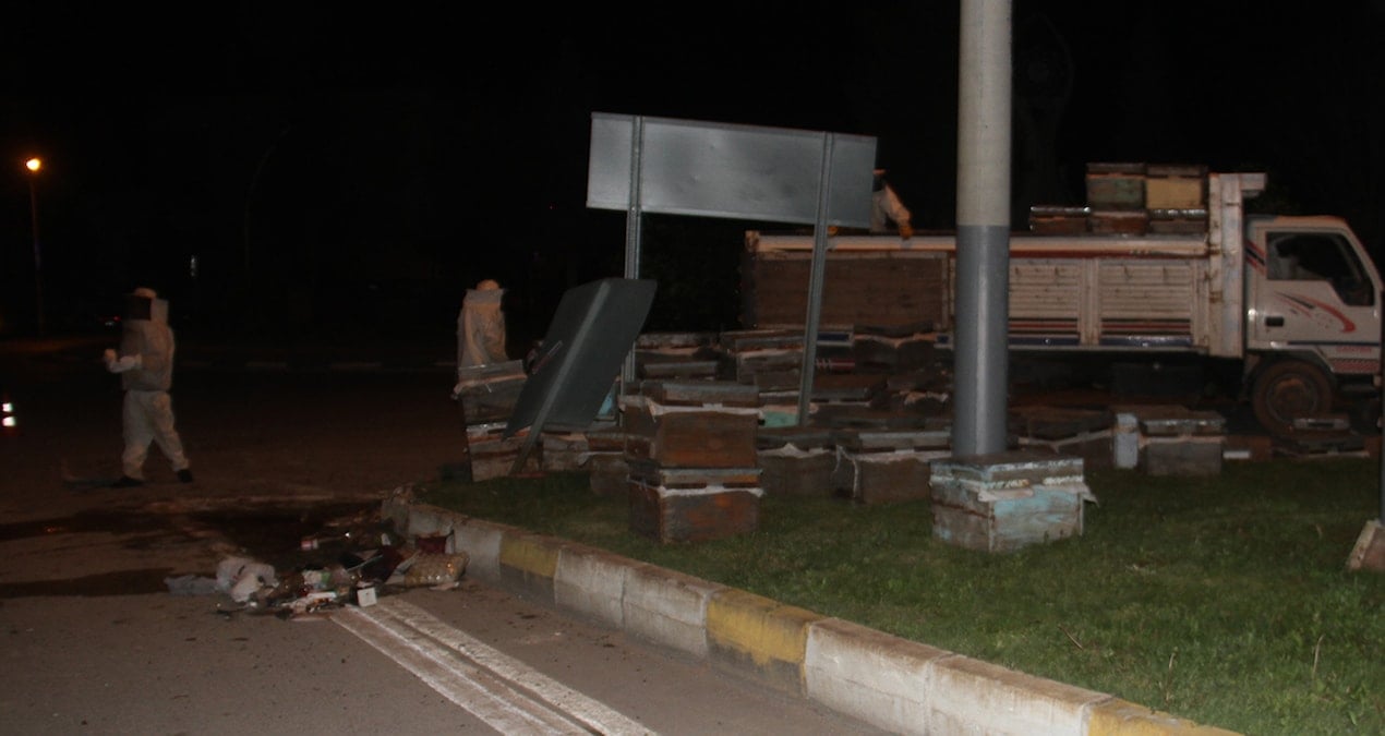 Arı kovanı taşıyan kamyonet devrildi! Arılar olay yerine gelen polisleri hastanelik etti